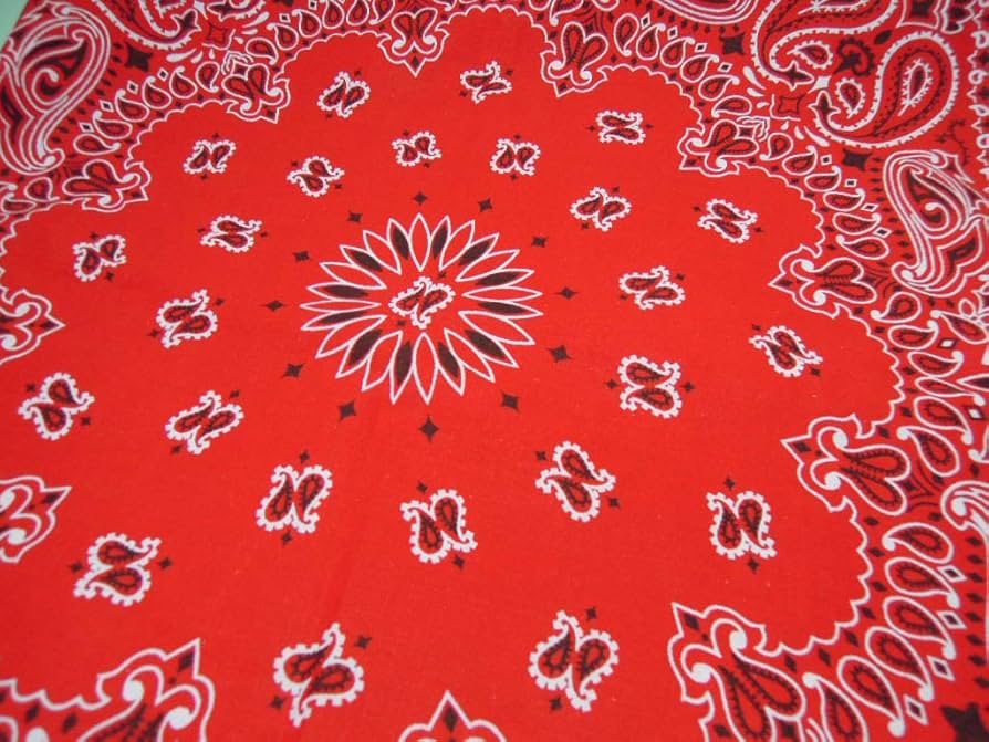 TheBUTON/HAVE A HANK BANDANA/BROWN/座布団 楽天市場】送料無料 座布団 クッション Detour Life The BUTON